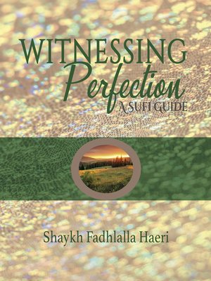 cover image of Witnessing Perfection